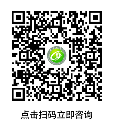 PG电子娱乐城官网