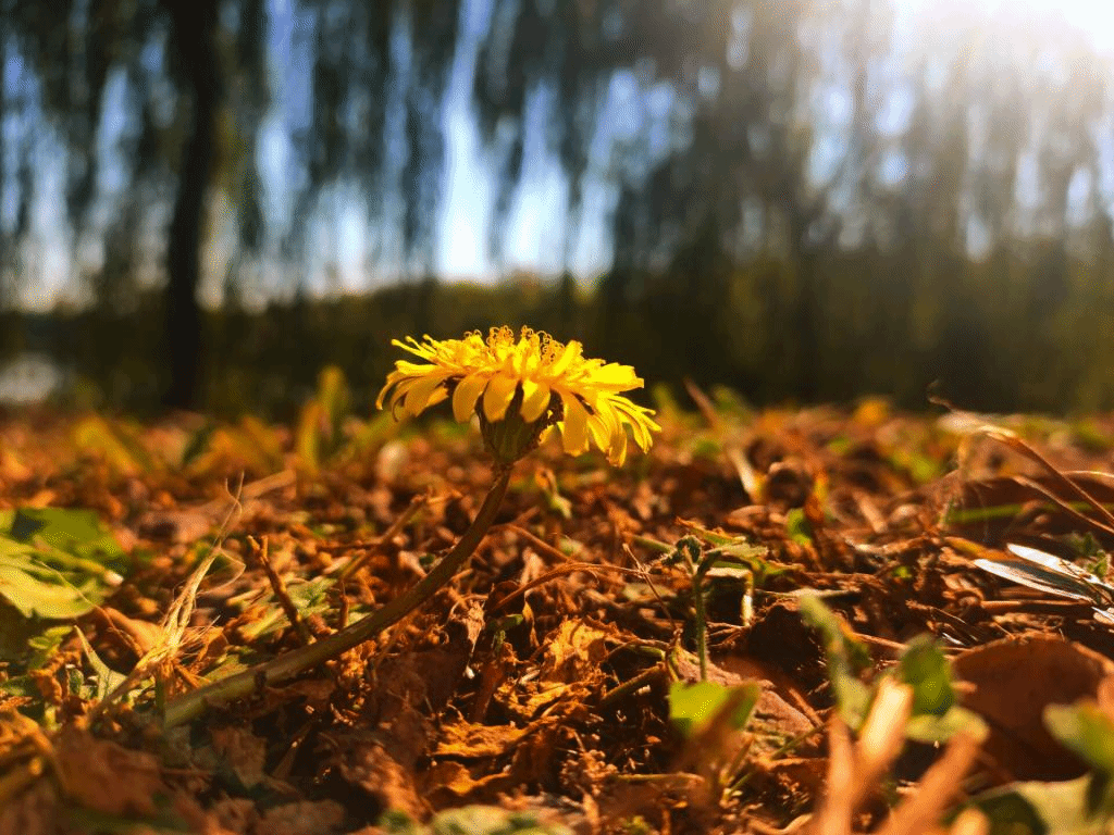 PG电子娱乐城官网