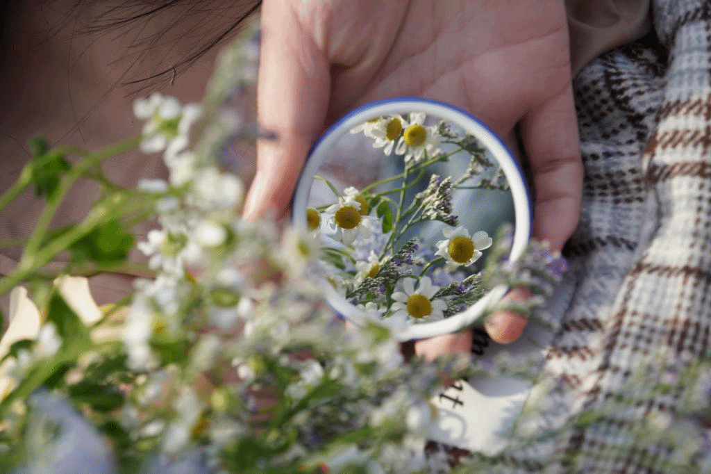 PG电子娱乐城官网