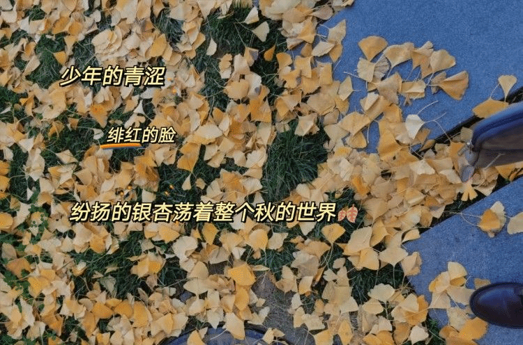 PG电子娱乐城官网