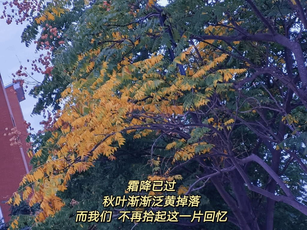 PG电子娱乐城官网