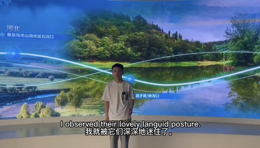 PG电子娱乐城官网